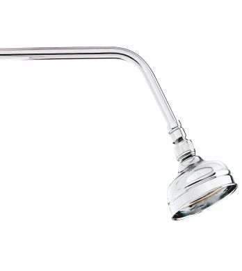 Classic Small Shower Rose