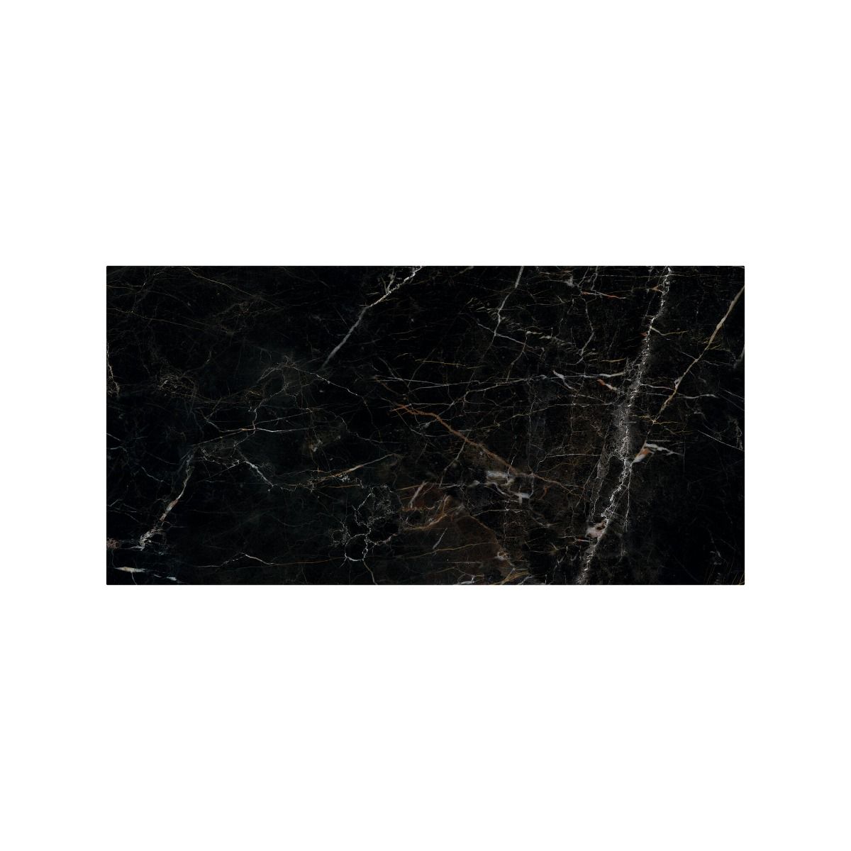 Volterra Laurent Gloss - 60 x 120