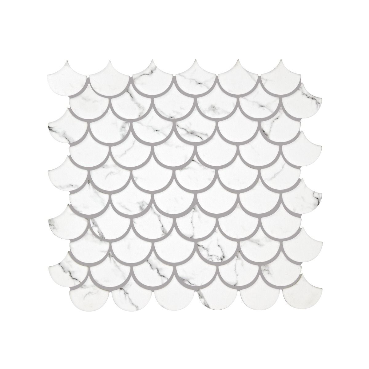 Malmo Scallop