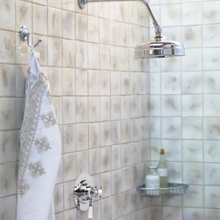 Classic Large Shower Rose 12"