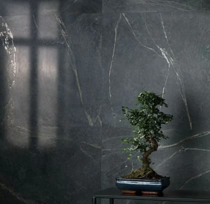 Dark stone effect tile with tree plant